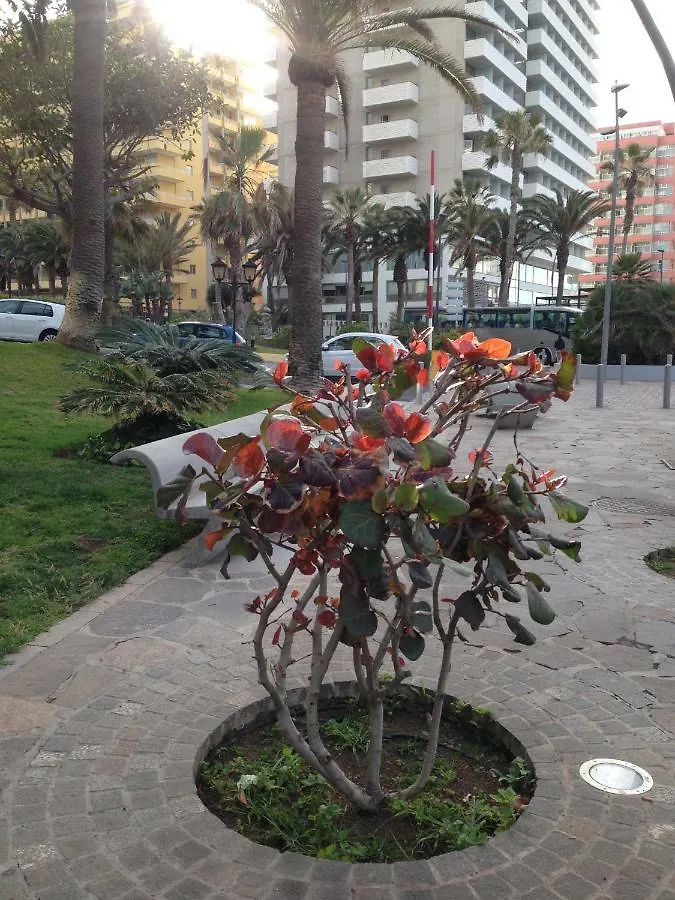 Martianez Apartment Puerto de la Cruz   Puerto de la Cruz (Tenerife)